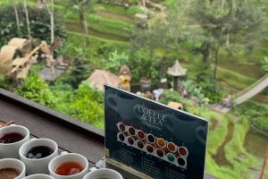 Coffee Plantation Ubud