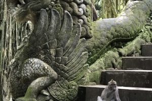 Monkey Forest Ubud